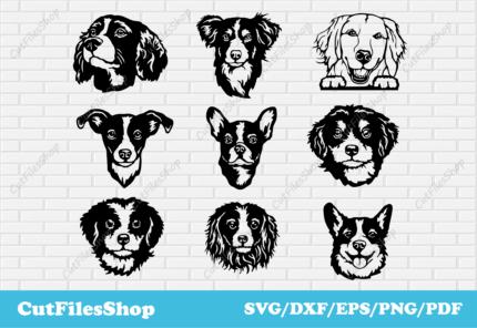 Dogs Svg for cricut, Heads of dogs svg, dog head silhouette, pet lover svg file image, dogs dxf for laser cut, Golden Retriever svg, border collie svg, Dog Head SVG Design Instant Download, Dog Breeds svg, Dog Face Svg Designs