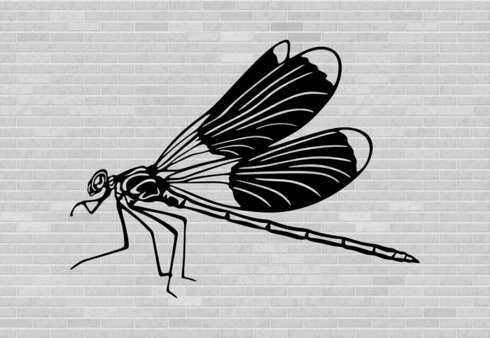 Collection CNC Plasma Cutter files, Metal Art Dxf Files, SVG files for Cricut, T-Shirt Designs, WaterJet cutting files, Dxf for laser