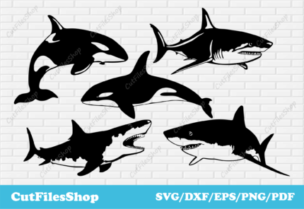 Vector DXF free download, laser cutting dxf free download, Sharks svg files, orca svg, fish svg files, cricut designs svg, printtable t-shirt svg, dxf cutting files, vector designs for shirts