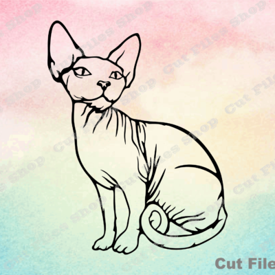 Sphynx cat svg, cat for cricut, cat cut file, digital illustration, svg illustration, cut files