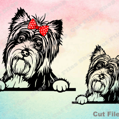 Yorkshire terrier SVG for cricut, PNG for sublimation, dog digital download, Peeking dog, cute dog svg, vector files, DXF for CNC, SVG bundle, dog illustration