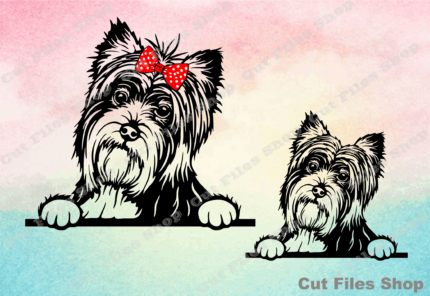Yorkshire terrier SVG for cricut, PNG for sublimation, dog digital download, Peeking dog, cute dog svg, vector files, DXF for CNC, SVG bundle, dog illustration