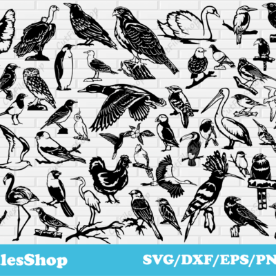 Birds svg cut files for cricut, Dxf birds for laser cutting, tshirt vector, Digital printing, heat pressing, laser engraving - Cut Files Shop