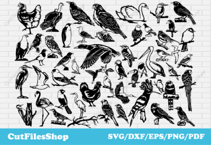 Birds svg cut files for cricut, Dxf birds for laser cutting, tshirt vector, Digital printing, heat pressing, laser engraving - Cut Files Shop