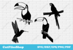 Birds svg cut files, toucan svg, parrot svg, dxf for plasma cutting, vector images - Cut Files Shop