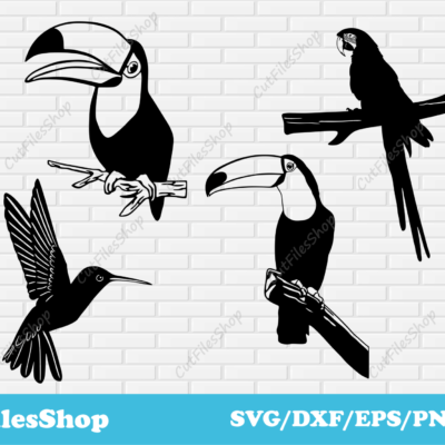 Birds svg cut files, toucan svg, parrot svg, dxf for plasma cutting, vector images - Cut Files Shop