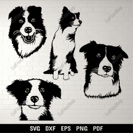 Border Collie Svg files